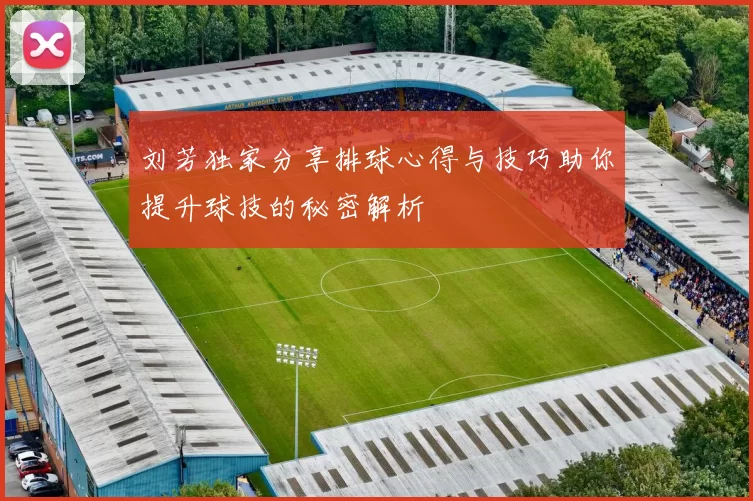 刘芳独家分享排球心得与技巧助你提升球技的秘密解析