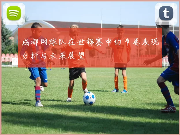 成都网球队在世锦赛中的节奏表现分析与未来展望
