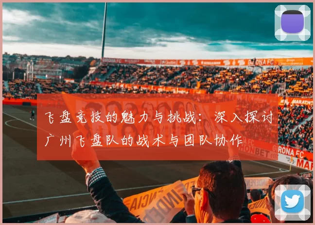 飞盘竞技的魅力与挑战：深入探讨广州飞盘队的战术与团队协作
