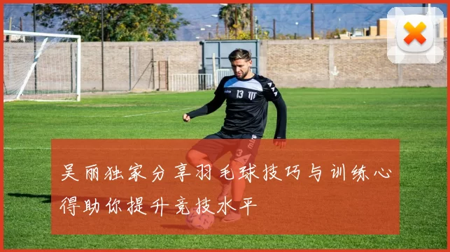 吴丽独家分享羽毛球技巧与训练心得助你提升竞技水平
