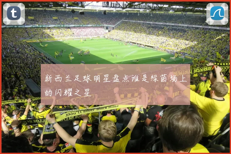 新西兰足球明星盘点谁是绿茵场上的闪耀之星