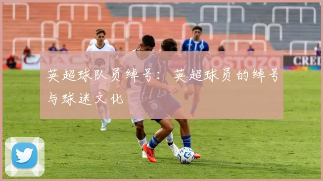 英超球队员绰号：英超球员的绰号与球迷文化