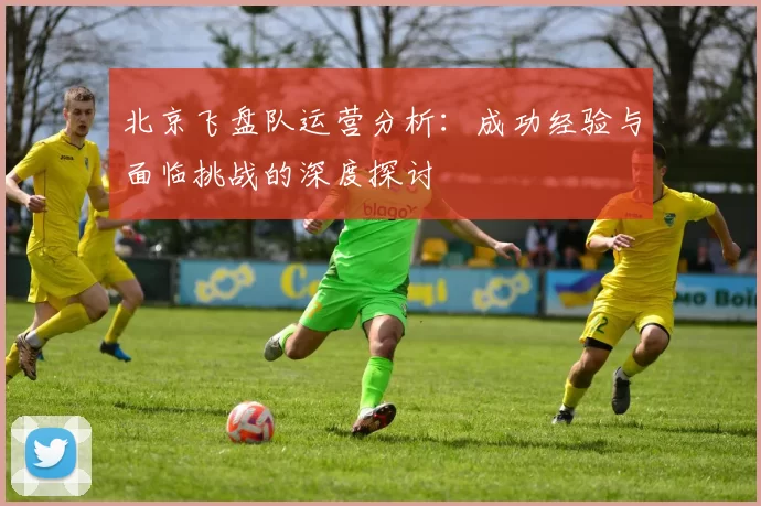 北京飞盘队运营分析：成功经验与面临挑战的深度探讨