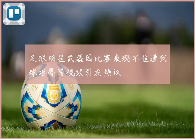 足球明星武磊因比赛表现不佳遭到球迷辱骂视频引发热议