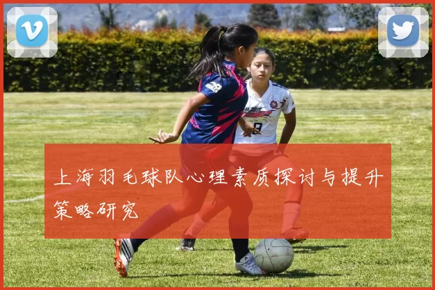 上海羽毛球队心理素质探讨与提升策略研究