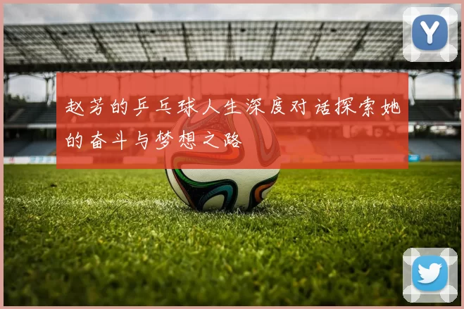 赵芳的乒乓球人生深度对话探索她的奋斗与梦想之路
