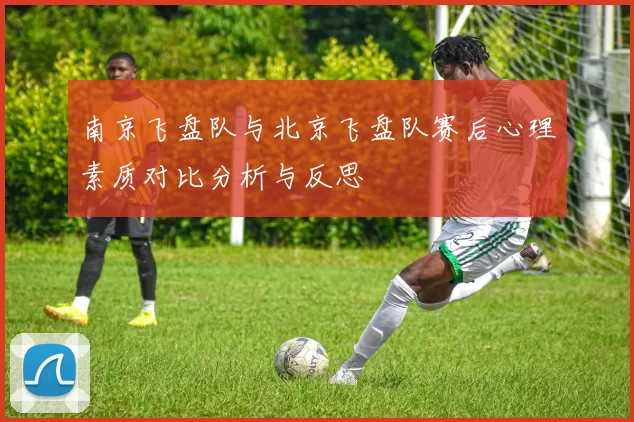 南京飞盘队与北京飞盘队赛后心理素质对比分析与反思