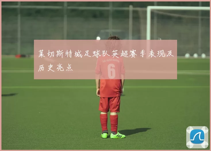 莱切斯特城足球队英超赛季表现及历史亮点