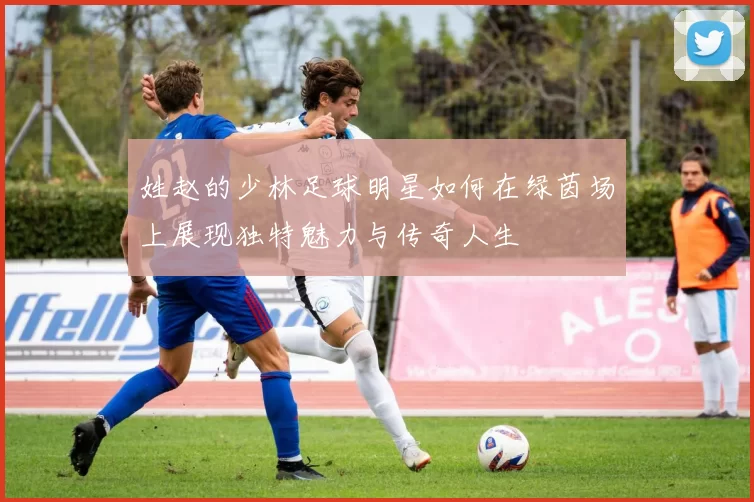 姓赵的少林足球明星如何在绿茵场上展现独特魅力与传奇人生