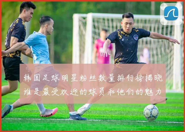韩国足球明星粉丝数量排行榜揭晓谁是最受欢迎的球员和他们的魅力所在