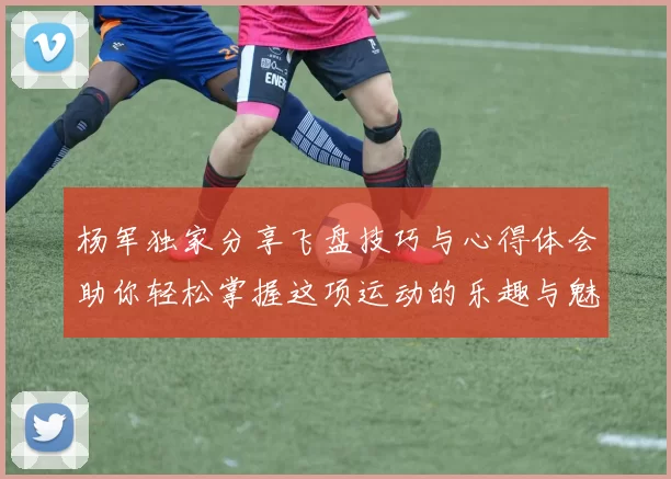 杨军独家分享飞盘技巧与心得体会助你轻松掌握这项运动的乐趣与魅力