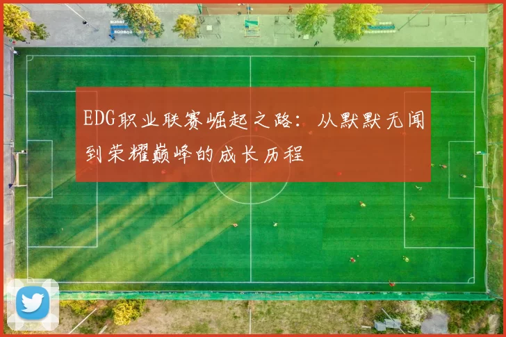 EDG职业联赛崛起之路：从默默无闻到荣耀巅峰的成长历程