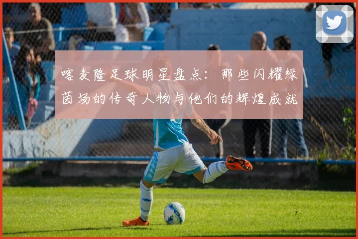 喀麦隆足球明星盘点：那些闪耀绿茵场的传奇人物与他们的辉煌成就